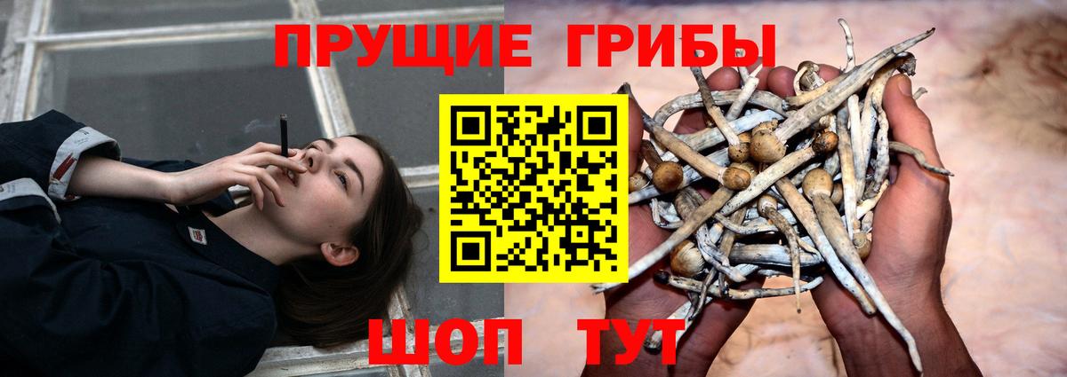 Галлюциногенные грибы мухоморы  Псилоцибиновые грибы Psilocybine cubensis  Вход с VPN  Калуга 
